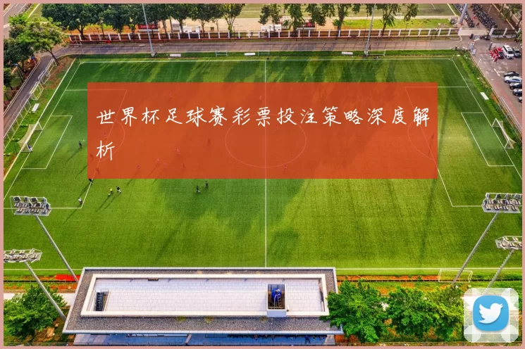 世界杯足球赛彩票投注策略深度解析
