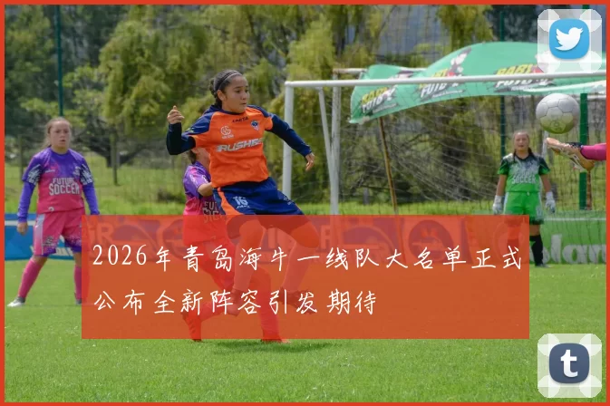 2026年青岛海牛一线队大名单正式公布全新阵容引发期待
