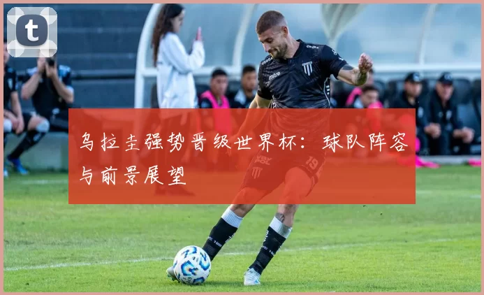 乌拉圭强势晋级世界杯：球队阵容与前景展望
