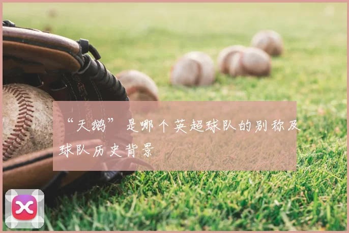 “天鹅”是哪个英超球队的别称及球队历史背景