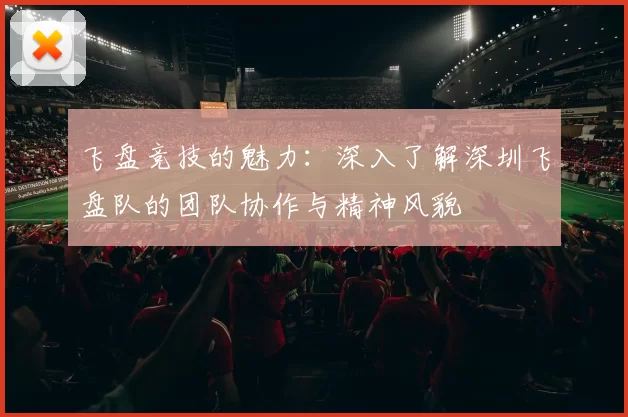 飞盘竞技的魅力：深入了解深圳飞盘队的团队协作与精神风貌