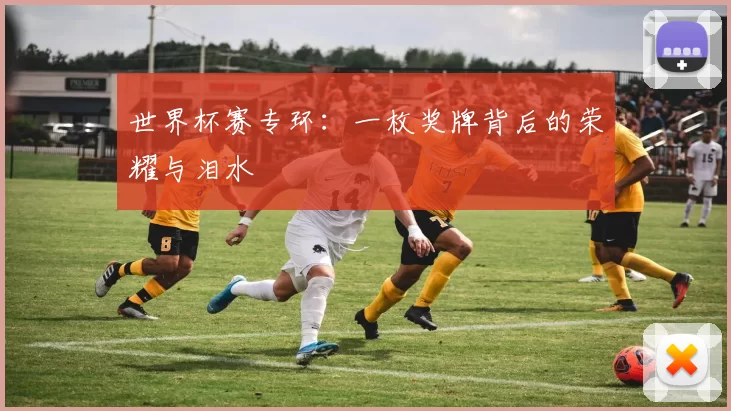 世界杯赛专环:一枚奖牌背后的荣耀与泪水