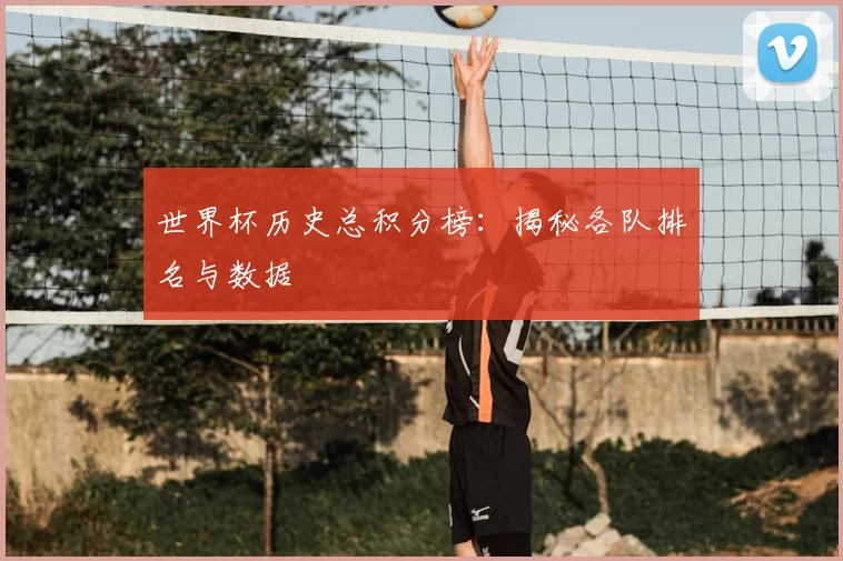 世界杯历史总积分榜：揭秘各队排名与数据