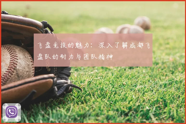 飞盘竞技的魅力：深入了解成都飞盘队的耐力与团队精神