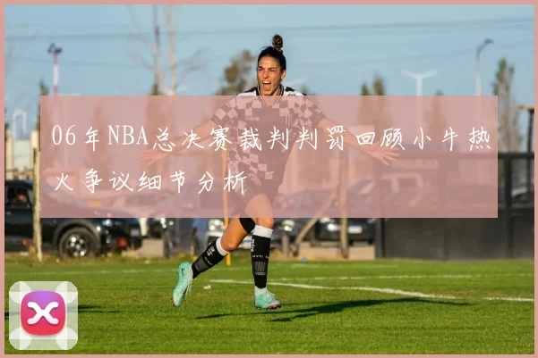 06年NBA总决赛裁判判罚回顾小牛热火争议细节分析